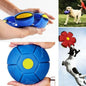 FlexiGlow: Pelota Frisbee Transformable con Luces